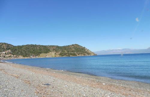 Palm tree house by the beach - Foto 42