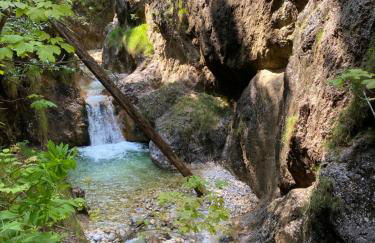 Salinenblick - Foto 45