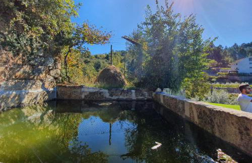 Casa de Campo - Cinfães do Douro - Foto 12