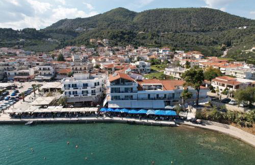 The Olive Tree - Photo 34