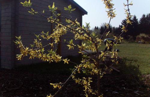 Ferienhaus _ Sonnenschein - Foto 9