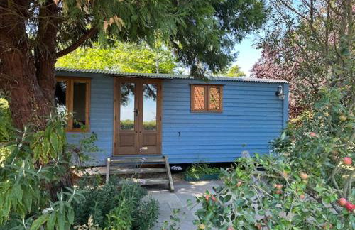 Swifts Return Shepherd's Hut - Foto 1