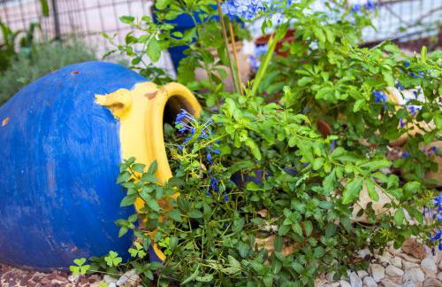 Alojamiento Rural el Azamur - Foto 51