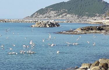 Casa Francesca e Rooms - Foto 36