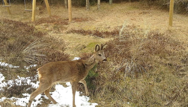 5 Person Holiday Home in Blavand - Foto 2, Miscelánea