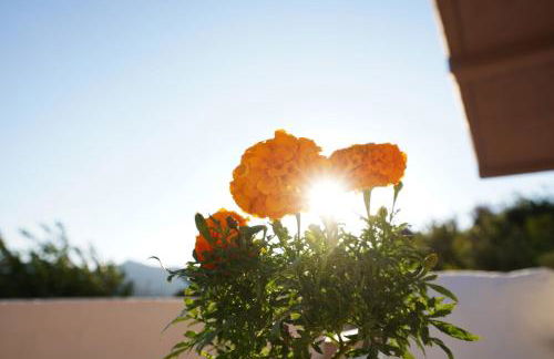 Villa Tzekos - Foto 60