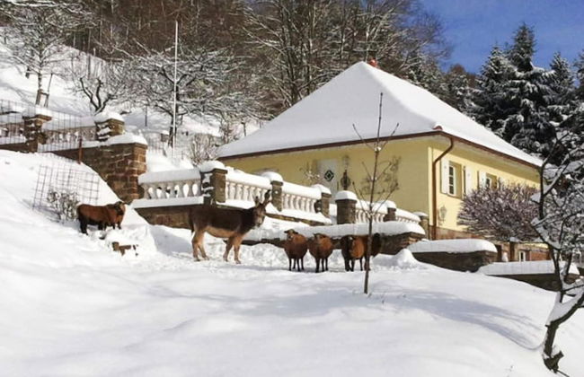 Holiday Home in Losheim am See - Foto 15