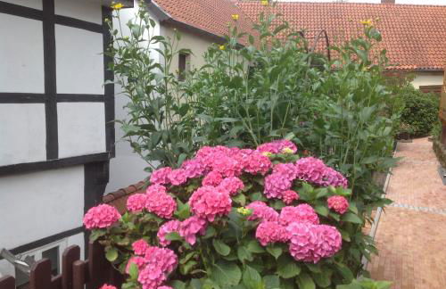 Appartementanlage Tecklenburger Altstadt - Foto 16