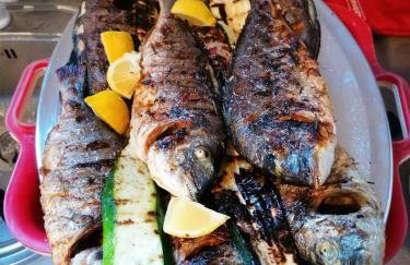 Apartman OZANA - Photo 35