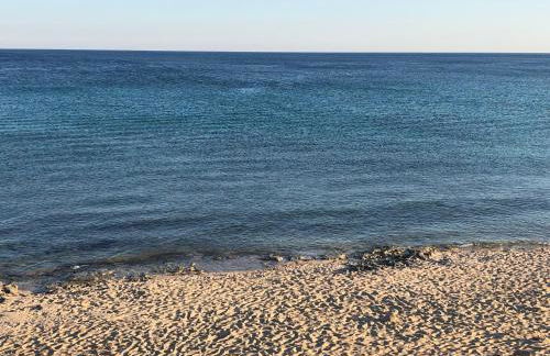 FICOMORO FARM - Foto 28