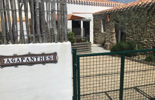 Les Agapanthes - Foto 1