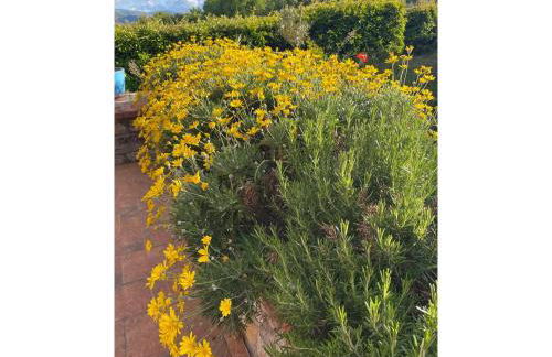 Foresteria San Leo - Foto 29