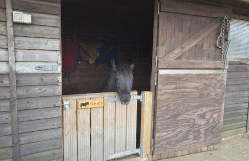 Queen Bower Farm Lodge - Foto 78