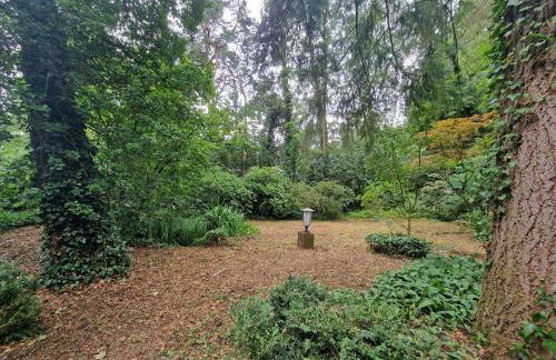 Ferienhaus Thymian in Hatten bei Oldenburg - Idyllische Waldlage - Foto 60