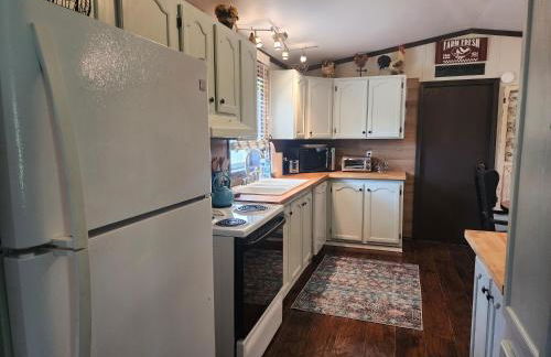 Animal Village - Foto 9