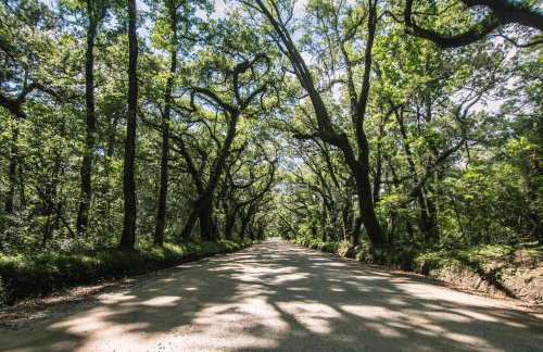 Maggie Brown - Foto 2