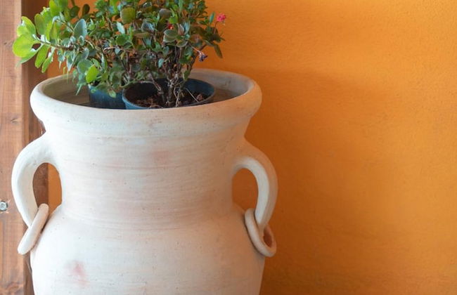 Agriturismo Cuaddus e Tellas - Foto 32