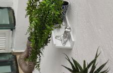 El Enclave - Foto 30