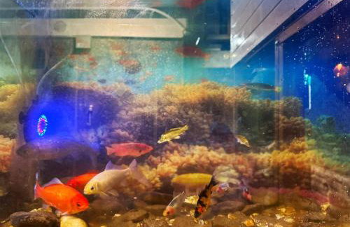 Kinky Kabin w Hot Tub, Sauna and Rooftop Garden - Foto 41