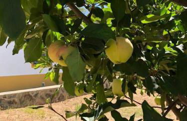 Casa do Forno Évora retreat - Foto 50