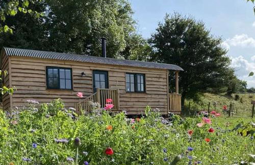 Pilgrims Nap - Photo 6