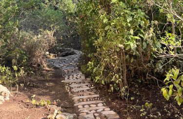 Maison 10 couchages, 5km des plages, 12km de Montpellier - Foto 36