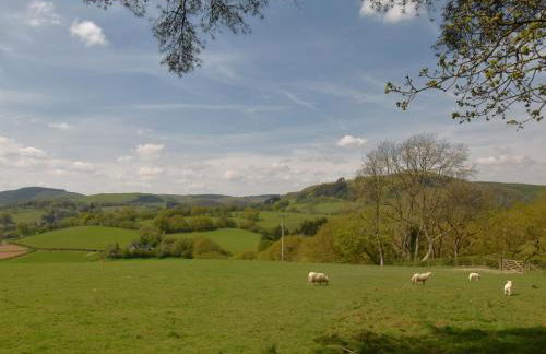 2 Bed in Llanwrtyd Wells 94009 - Foto 28