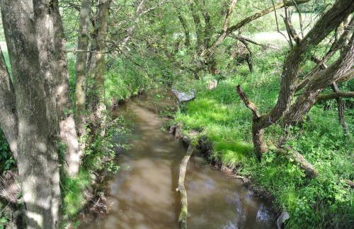 Ferienwohnung zur Mühle - Foto 40