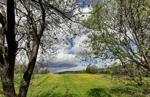 Fewo an der Teufelskanzel - Foto 35