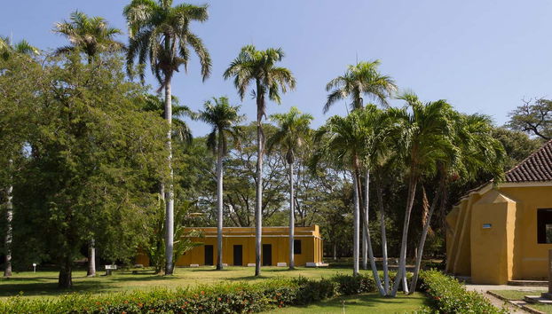 Passeggiando nei parchi della città