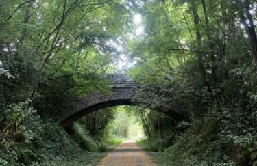 La Cabane du Petit Moulin - Foto 11