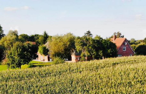 Hof Goosend - Urlaub an der Ostsee & Schlei - Foto 21