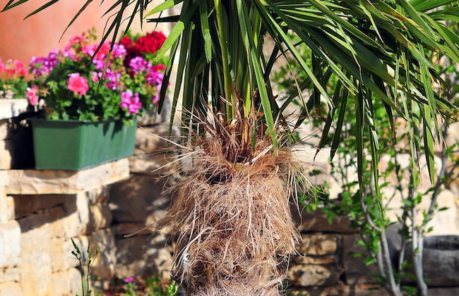 Villa Asseria - Foto 26