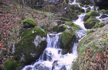 Las Casucas de Ason - Foto 20