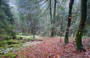 Au Temps Passé - Photo 69