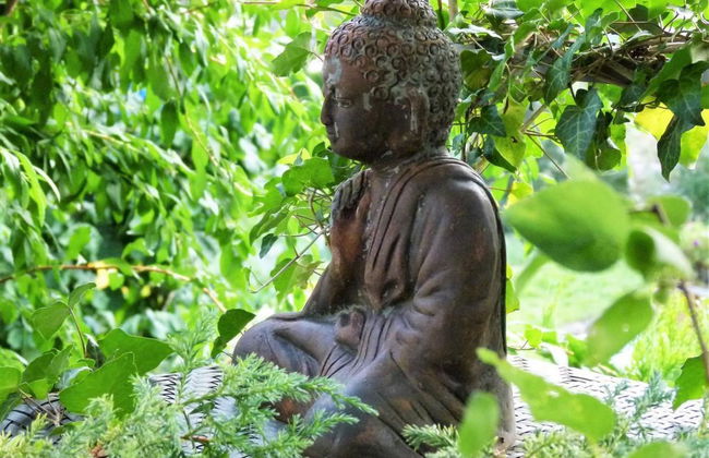 1 bedroom Apartment in Zweisimmen - Photo 5