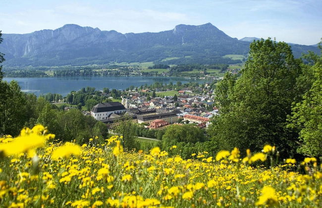 Apartment in Huttau Near Ski Amade Slopes - Foto 12