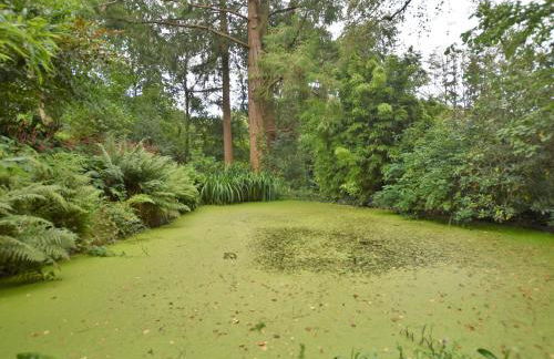 2 Bed in Cemmaes 93078 - Photo 24