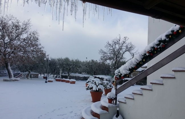 Agriturismo Regno di Marzagaglia - Foto 51