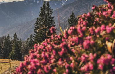 Beim Mühltaler II - Photo 23