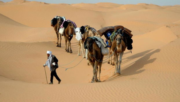 Esplora Matmata e Douz - Escursione di un'intera giornata - Foto 5
