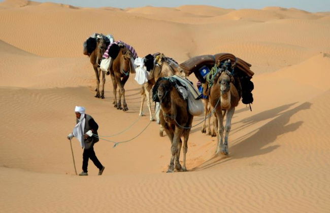 Esplora Matmata e Douz - Escursione di un'intera giornata - Foto 5