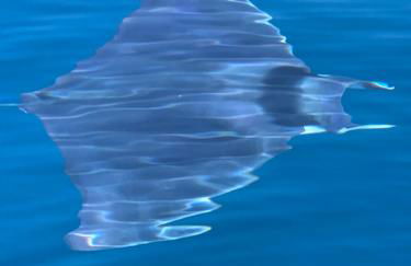 Villa Bella Vista - Foto 21