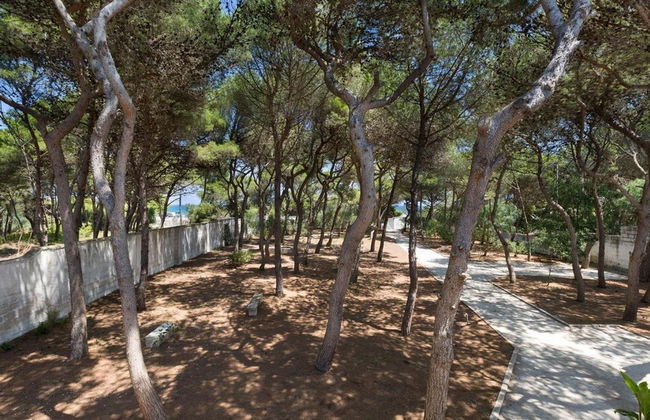 1675 Masseria Villa in Torre Specchia Ruggeri - Foto 74