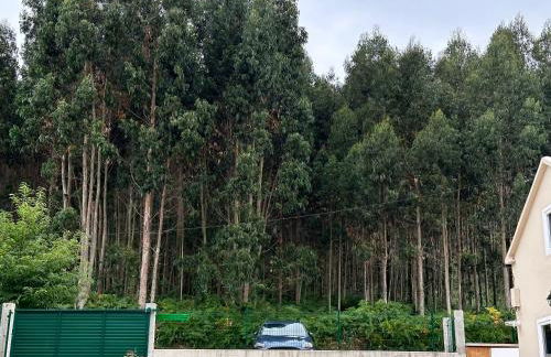 Casita la 'Dore - Foto 9