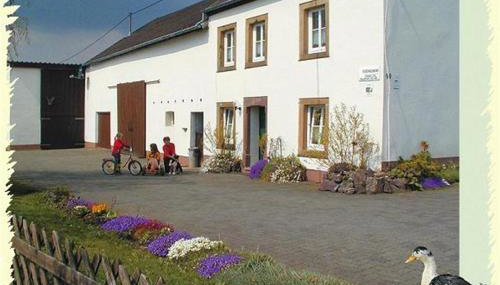 Ferien auf dem Bermeshof - Foto 2