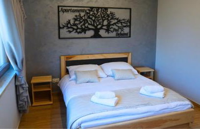 Apartamenty pod Dębami - noclegi Beskid Niski - Foto 43