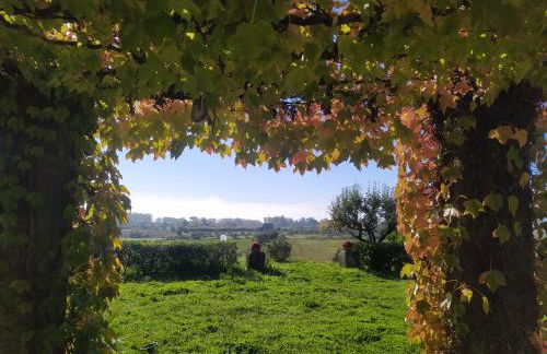 Agriturismo La Villetta - Foto 23