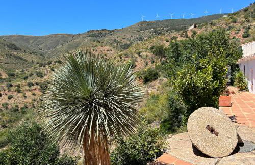 Cortijo Vacas Gordas Villas - Foto 50