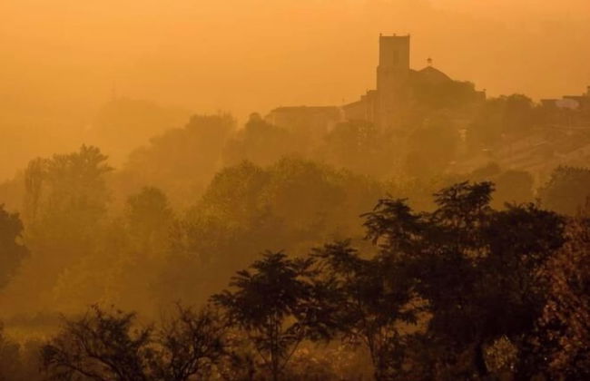 Domaine de Saint-Orens​ - Photo 45